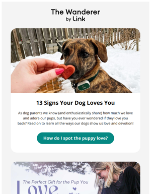 🐕Signs Your Dog Loves You + Enter To Win $800 In Pup Prizes!