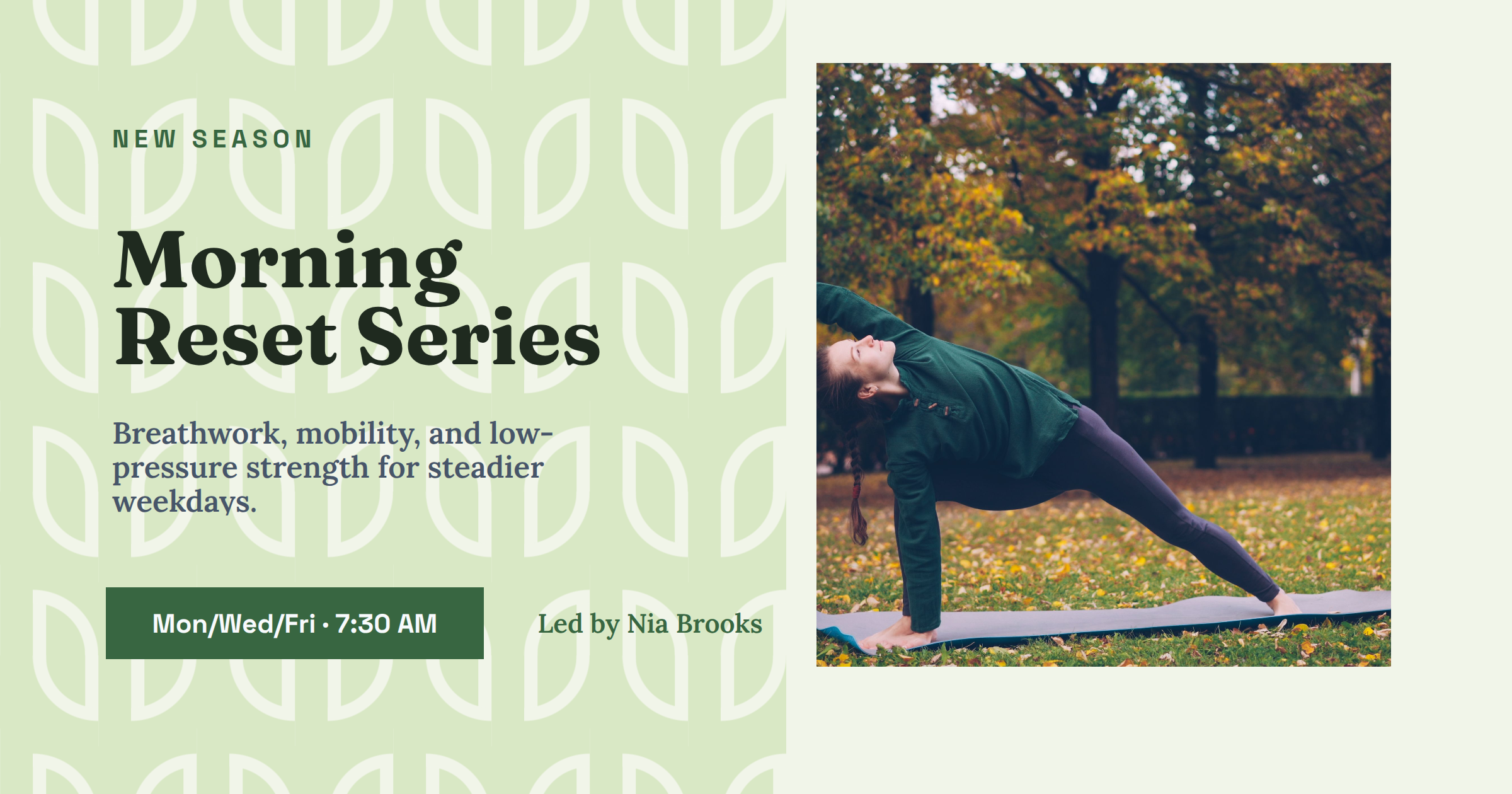 Wellness Program Banner preview