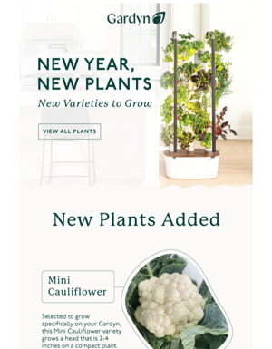 Take A Look At Our Newest Plants! 🌱