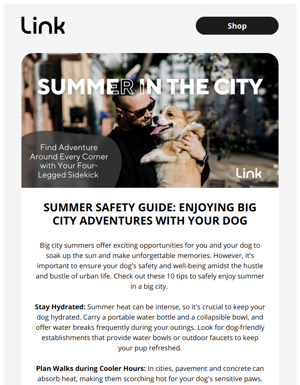 Summer Safety Guide For City Adventures🏙 + Link's All-Access Free Trial🐕