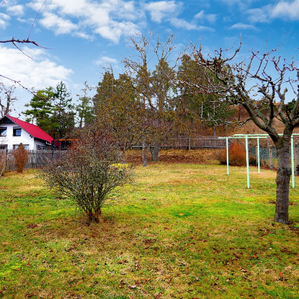 Großer Hof mit Einfamilienhaus und großem Garten in Behringen zu verkaufen! (99326 Stadtilm)