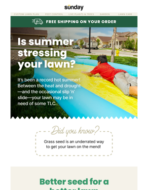 Need A Summer Lawn RX?