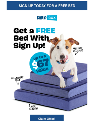 🛏️🐕 Free Bed For Your Pup!