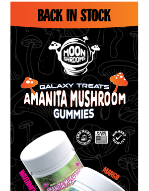 Amanita Mushroom Gummies Are Now Back In Stock! 🙌