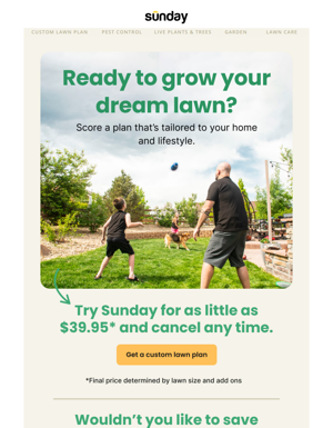 Let's Turn Your Dream Lawn Into Reality