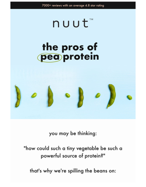 Spilling The Beans About Pea Protein ✨