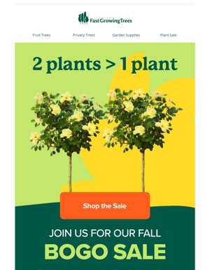 Buy One, Get One Free For Fall Planting