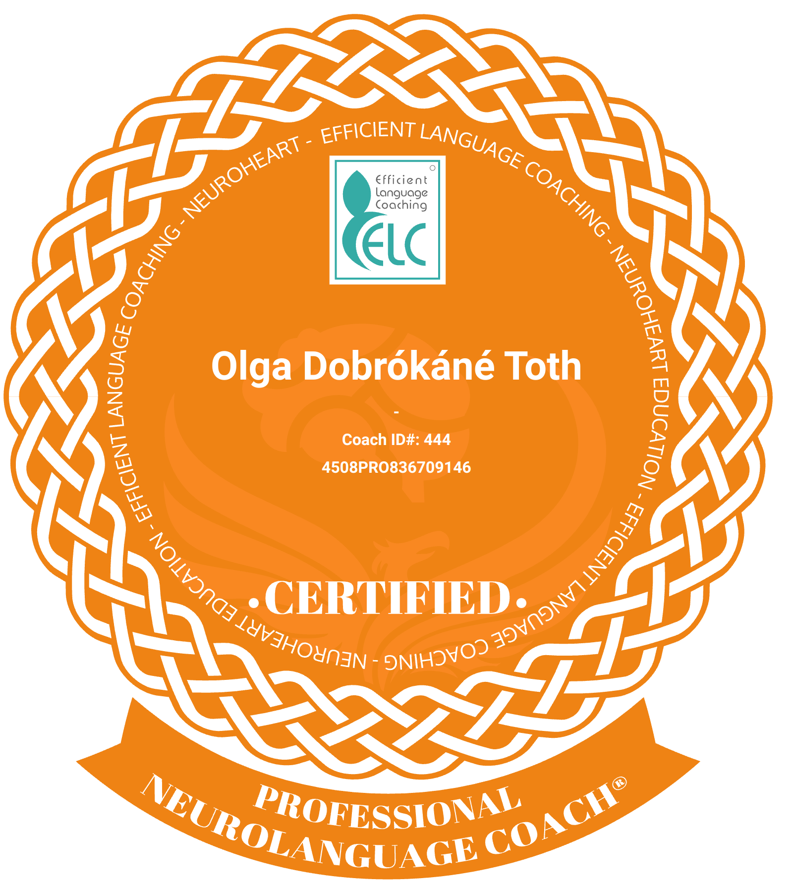 Professional Neurolanguage Coach