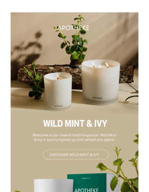 Refresh Any Space With Wild Mint & Ivy