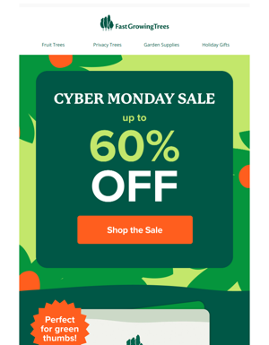 Not *just* Another Cyber Monday Email