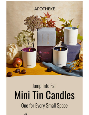 Fall Mini Tin Candles Are Here