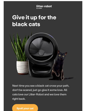 Happy Black Cat Appreciation Day 🖤🖤🖤