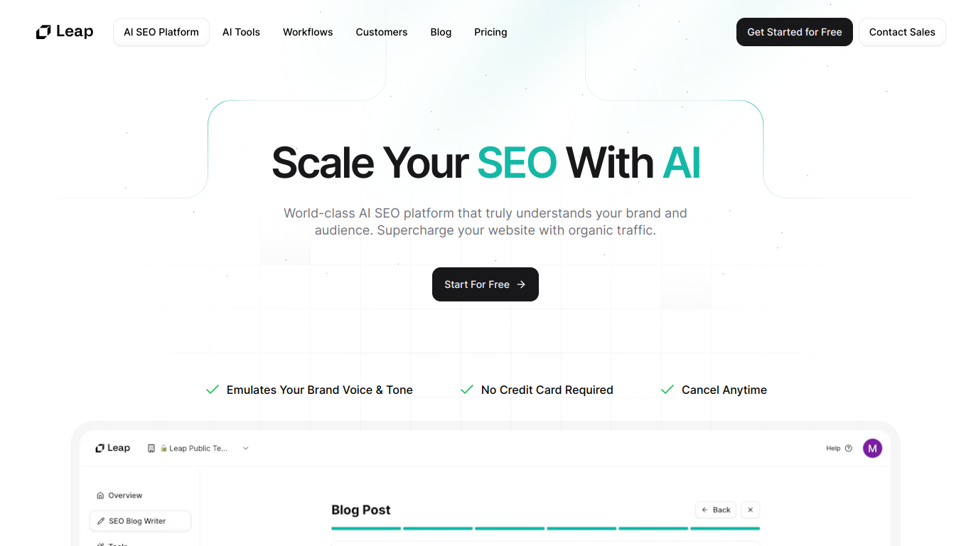 AI SEO by Leap Review