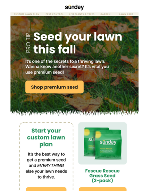 Your Fall Pro Tip Is In!