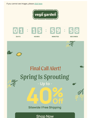 Time Is Ticking On Our Spring Sale!