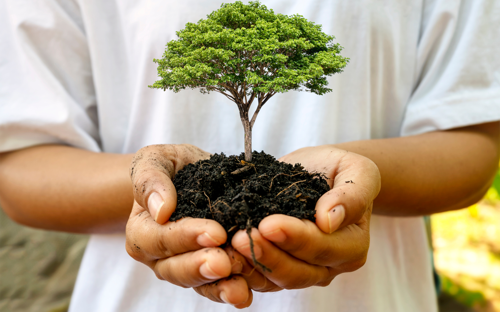 Faithful stewardship