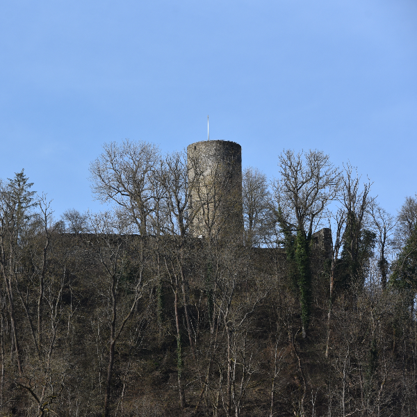 Direkt am Fuß der Burg: Haus zum Liebhaben mit Adlerhorst-Aussicht! Großes Grundstück. (61276 Weilrod)