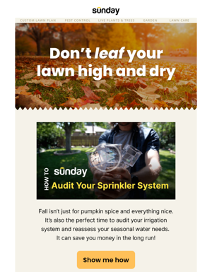 🍁Fall Is The Ideal Time To Audit Your Irrigation System