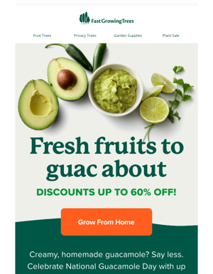 Holy Guacamole! Up To 60% Off 🥑