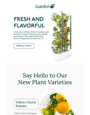 Check Out Our Newest Plants! 🌶️