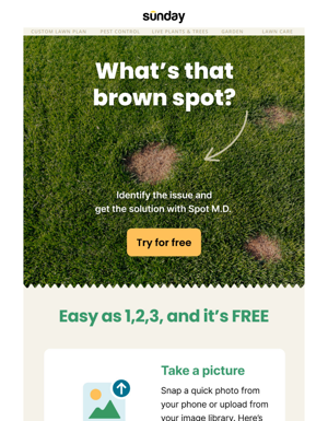 🤔 Brown Spots? Let's Fix It Together!
