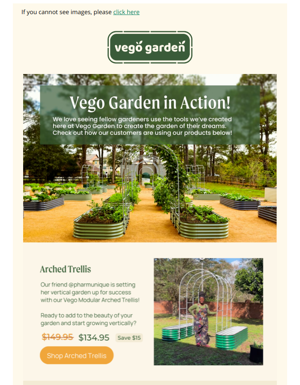 Vego Garden Takes Root: A Look At Our Growing Impact!