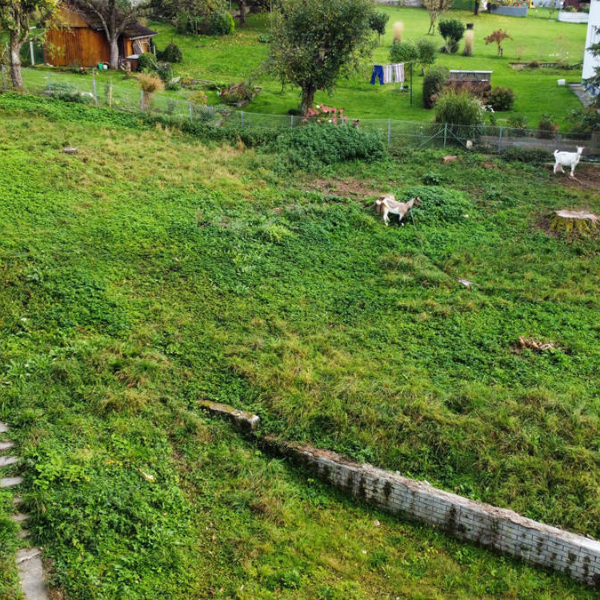 AUSSICHTSPLATZERL - Baugrundstück mit ca. 550 m2 und Gartenhütte in Behamberg (4441 Behamberg)