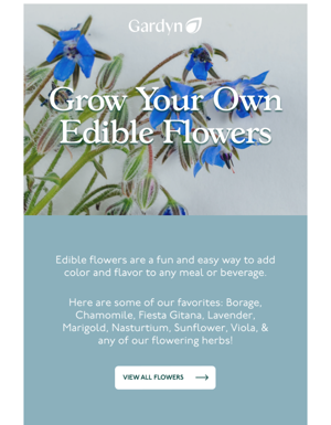 Grow Your Own Edible Flowers 💐