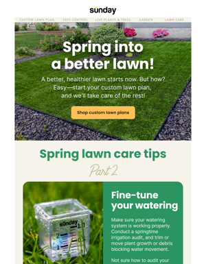 Ahh, So This Is How You Grow A Better Lawn?
