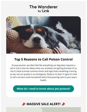 🐕5 Reasons To Call Poison Control + Link's Biggest Sale EVER!