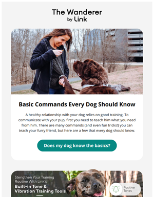 🐕Basic Commands Every Dog Should Know + $40 Off Flash Sale