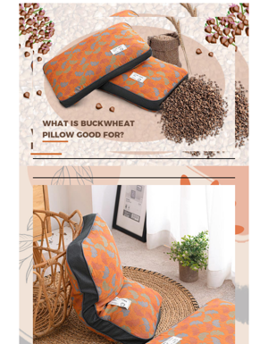 What Is The Buckwheat Pillow?  🌾 🌾