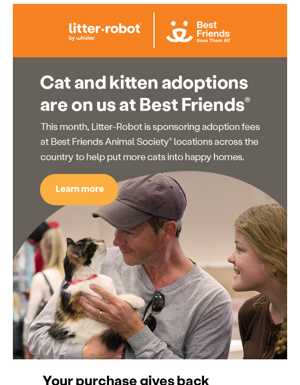 Support Adoptions This Kitten Season
