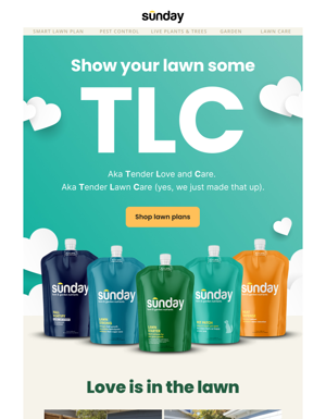 💚 Show Your Lawn Some TLC