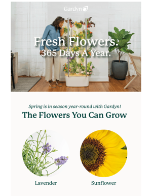 💐 Grow Fresh Flowers - 365 Days A Year