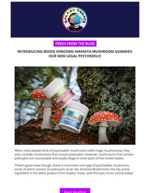 Introducing Moon Shrooms Amanita Mushroom Gummies: Our New Legal Psychedelic 🍄