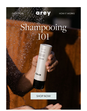 How Do You Shampoo?