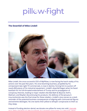The Downfall Of Mike Lindell